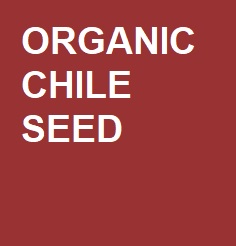 Organic Chile Seed